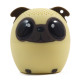 Звук Звук