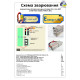 Аккумуляторная батарея для дрона 4S3P Energy Life 12600мАч Moliсel 21700-P42A Li-Ion 10AWG XT90S-F