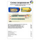 Аккумуляторная сборка 2S4P Energy Life 19400мАч Samsung SDI 21700-50G Li-Ion 12AWG XT60-F